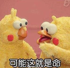 对不起番禺第一波入秋失败国庆假期天气居然