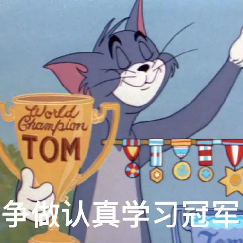 聊天必备表情包别人参加女团我打开美团
