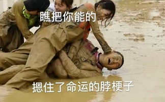 延禧娘娘登跑男,佘诗曼贡献表情包,吴谨言讨喜,张嘉倪被孤立