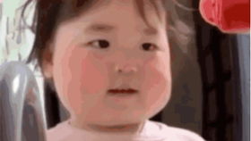 看看温温的万能表情包