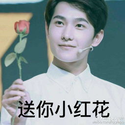 网络真人表情包十里桃花