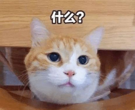 一位神秘建筑师为特朗普设计了总统图书馆网友我看到了满目嘲讽