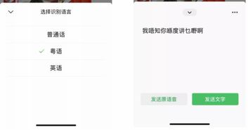 微信又又又重磅更新你的表情包全变了但是