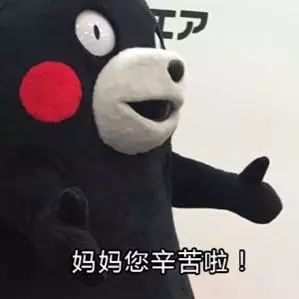 愚蠢的人类表情包母亲节