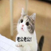 喊老公的萌萌表情包微信头像图片大全