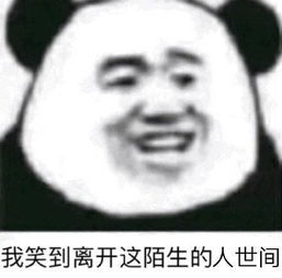 表情包我们是兄弟,我怎么会鸽你呢