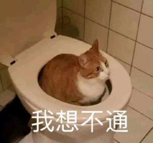 男朋友表情包游戏