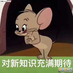 别睡了小肥猪表情包骚累了歇会猫表情包下载乐游网游戏下载