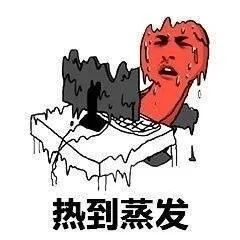 电电鼠表情包太阳