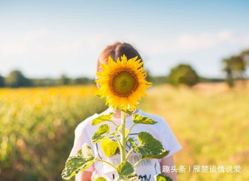 愚蠢的人类表情包摆明