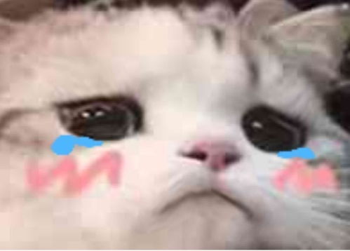 猫咪表情包香香软软的小泡芙专场今天是甜甜的小猫咪鸭