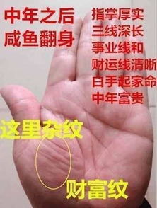 手有福禄寿三宫,三宫分别代表有福,有禄有财,长寿之人的手相