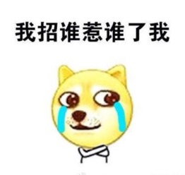 论口水战,女神林志玲未必撕得过痞气的陈冠希