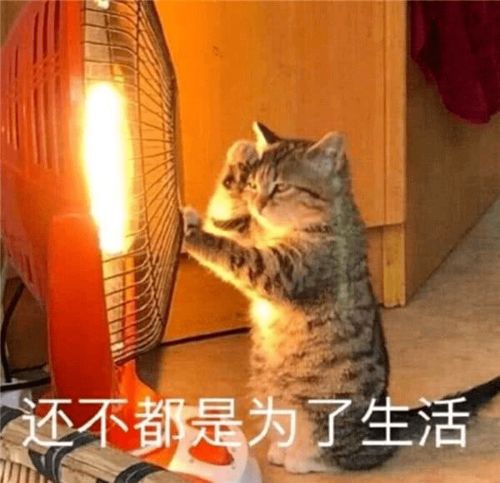全方位对比编制教师与非编制教师的5大区别