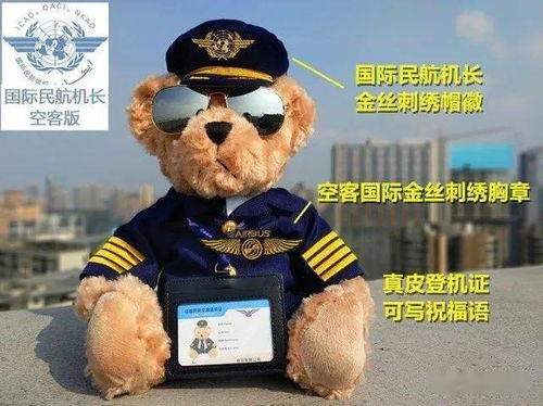 优质机长熊配胸章墨镜登机牌