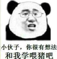 熊猫头表情包i天冷能去你怀里暖暖吗