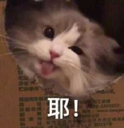 天气晴,宜收集快乐