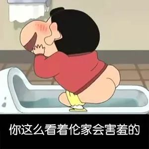 蜡笔小新表情包小姐,我是来偷你的心的