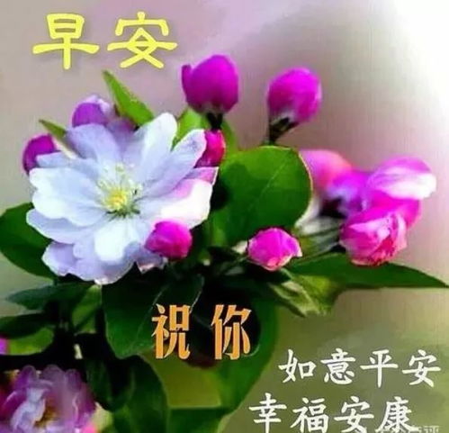 最新版清早问候大家的早上好漂亮图片,早晨好问候祝福表情图片