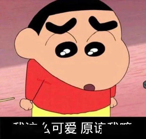 蜡笔小新表情包你失去我了