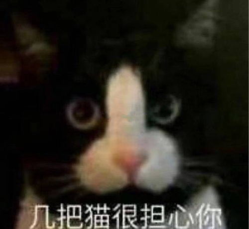 异地怎么办啊