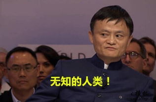 微信表情包项目到底是什么