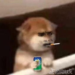 游戏能有多无聊没有任何操作,只能站在原地盯着图片看一下午