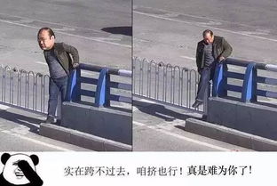 还敢交通违法吗当心警察蜀黍把你做成表情包