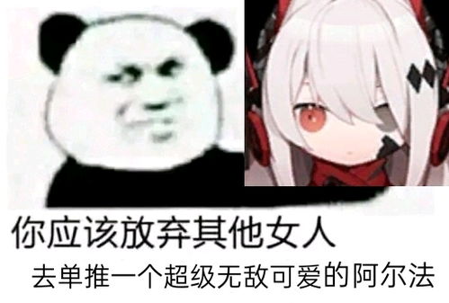 战双帕弥什自制表情包截图3
