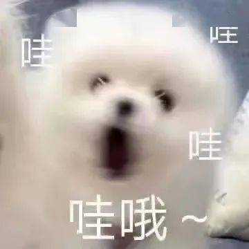 明日开抢张云雷南京演唱会门票即将开售附抢票入口