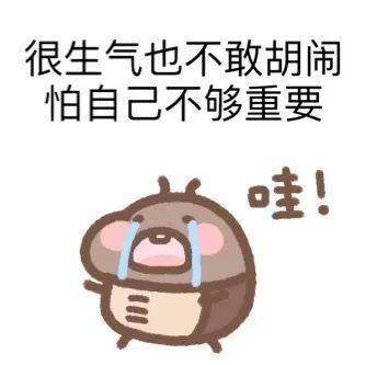 秃的208个自制沙雕无水印高糊表情包大合集