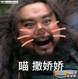 哥哥张飞表情包