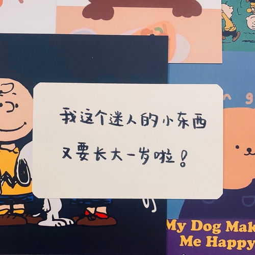 独特的生日快乐文案,先收藏