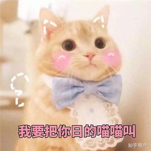 男生给男生发污表情包是什么心理