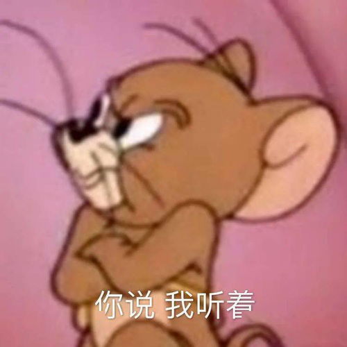 每日精选沙雕表情包