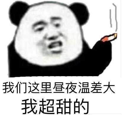 有什么文科生用的表情包