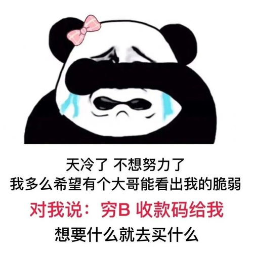 抖音热门表情包