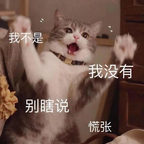 表情包聊天经常用到的表情包
