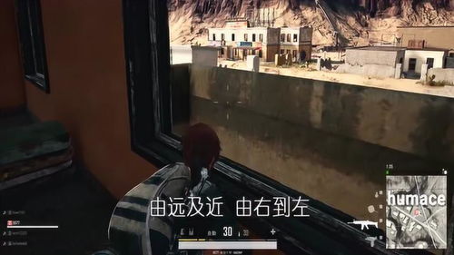 嘲讽别人的表情包绝地求生