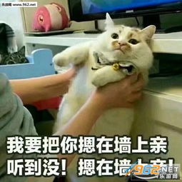 摁在墙上亲搞笑图片我要把你摁在墙上亲表情包下载乐游网游戏下载