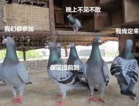 活动策划部oops扑通,您已掉进一个巨大的脑洞中