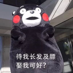啊进进去了的表情包回家的诱惑