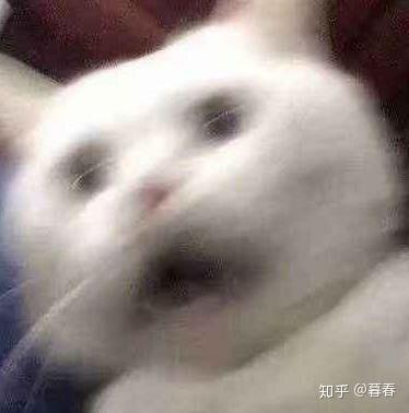 如何看待对很多女孩子发可爱表情包的男生,甚至是刚加好友都不熟的那种