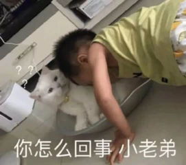 点赞最多的那条朋友圈,这也太太太太太精彩了吧