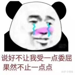 能说说你认为的不建议养猫的理由吗
