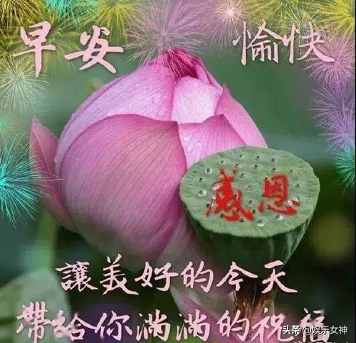 轻轻睁开眼,鸟儿欢叫甜微微打开窗,清新满心间,早安