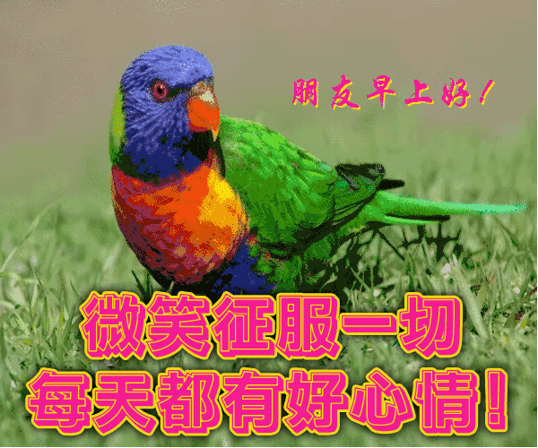 早上好问候语录送朋友的早上好问候语