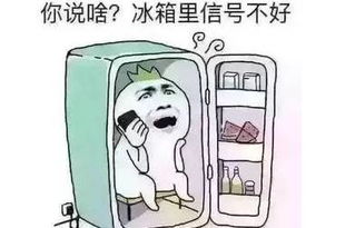 妈我秋裤呢有多少人今早是被冻醒的可以,这很秦皇岛