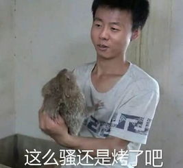 你最喜欢哪些梗