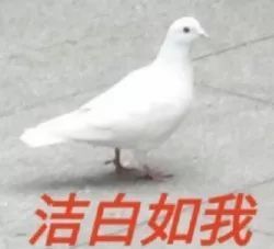 幽默笑话小彼得自豪地对他的朋友说我叔叔是神父